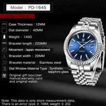 Men's Automatic Sport Watch PAGANI #2