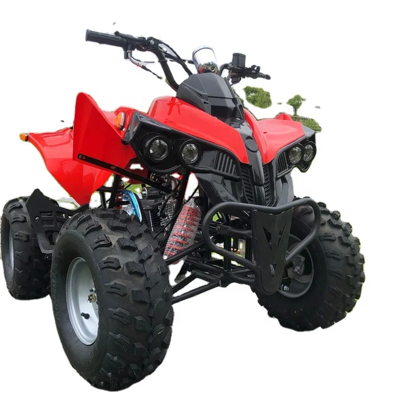 Youth 125cc 4-Stroke Automatic Chain Drive Electric Start 2WD 500-800W Quad Bike ATV