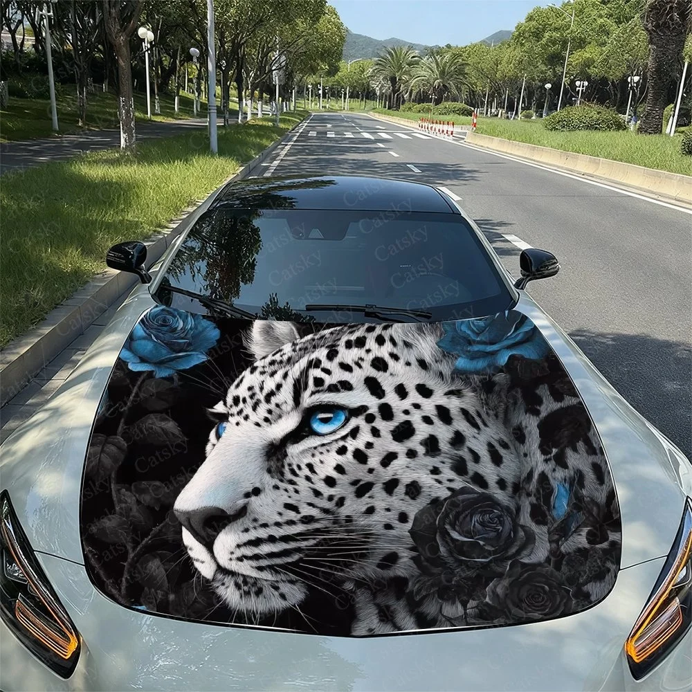 Stylish car hood wrap featuring a snow leopard with striking blue eyes, surrounded by elegant blue and black roses. Perfect for