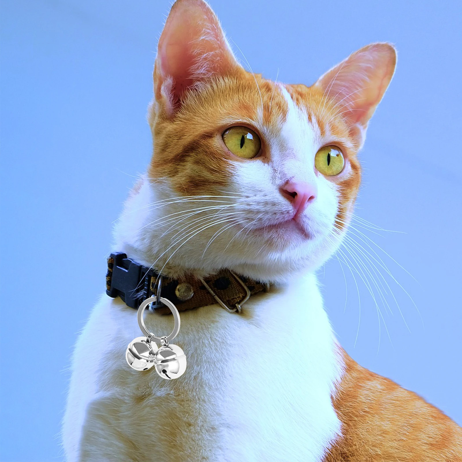 

2 Nickel Pet Collar Accessories for Cats Dogs Keychain Charm DIY Hanging Cat Supplies Birthday Wedding Photoshoot