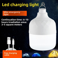 1pc Rechargeable LED Indoor and Outdoor Emergency Portable Light (with Battery) Flash BBQ Tent Camping Light Lights Lamp Lantern