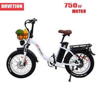 DRVETION Electric Bicycle 20AH Lithium Battery 750W Motor Bike Aluminum Alloy Seamless Welding Frame Ebike