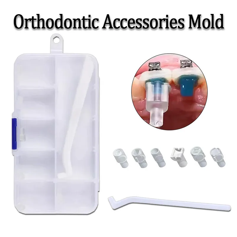 1Set Dental Mould Starter Kit Orthodontic Mould Mini Accessories Lingual Button Set Quick Built Dentistry Filling