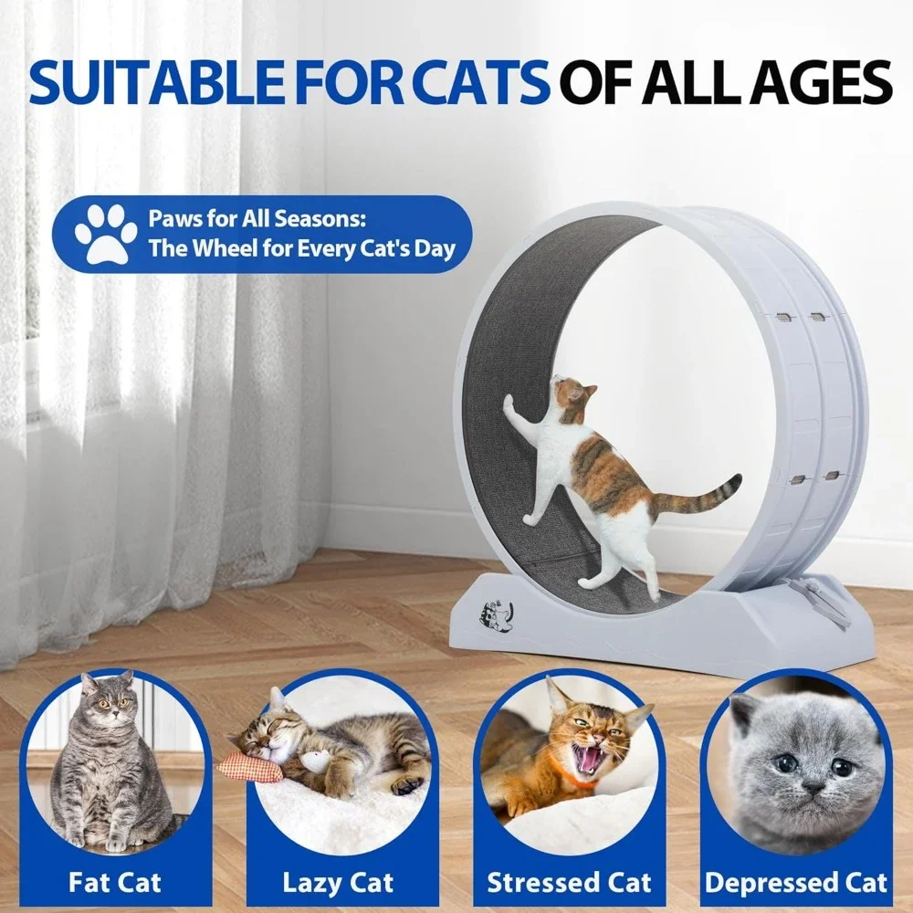 Cat Exercise Wheel Treadmill for Indoor with Brake Install Large Cats Wheel for Most Cats 31.5