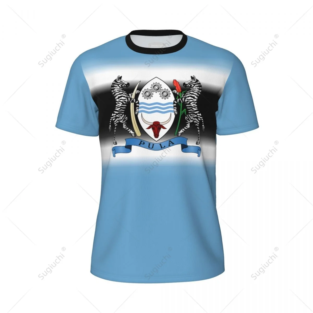 Sports Mesh T-shirt Botswana Flag For Running Bike Soccer Tennis Football Fitness Tees 3D Printed Custom