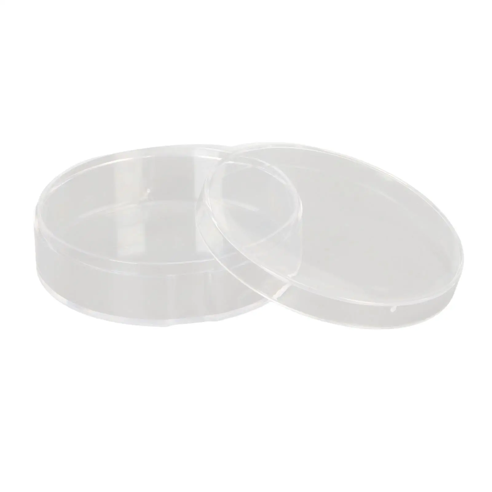 Transparente Plastic Maquiagem Puff Storage Box, Portable & Dustproof para Artistas