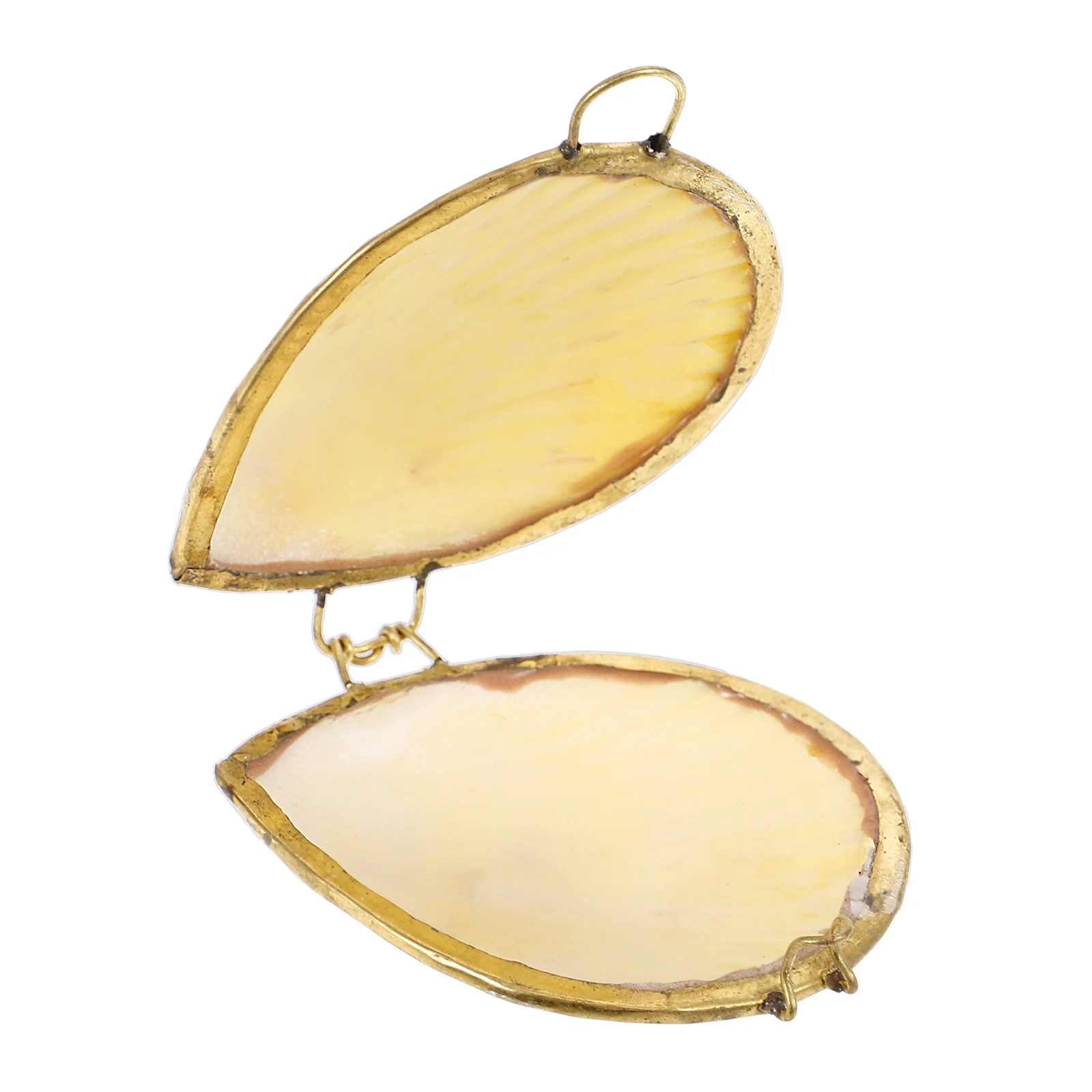 

Seashell Jewelry Box 6cm Storage Case for Rings Earrings Necklace Travel Gift Valentine Birthday Christmas