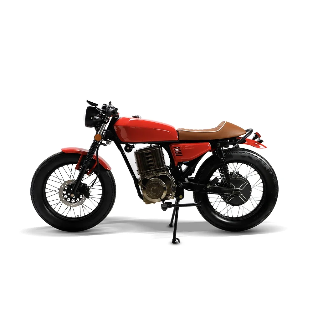 STROVAN  Professional Manufacturer Customizable 1800W Fat Tire High Speed Electric Bike Motorcycles