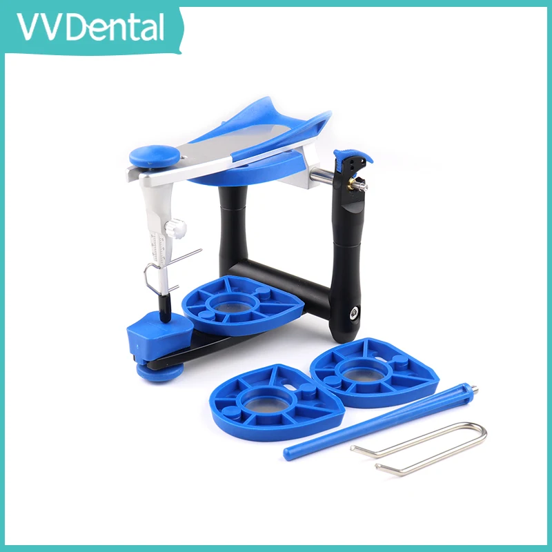 

Dental BN Average Jaw Frame Oral Articulator Teeth Model Accurate Scale Plaster Model Dental Lab Tools