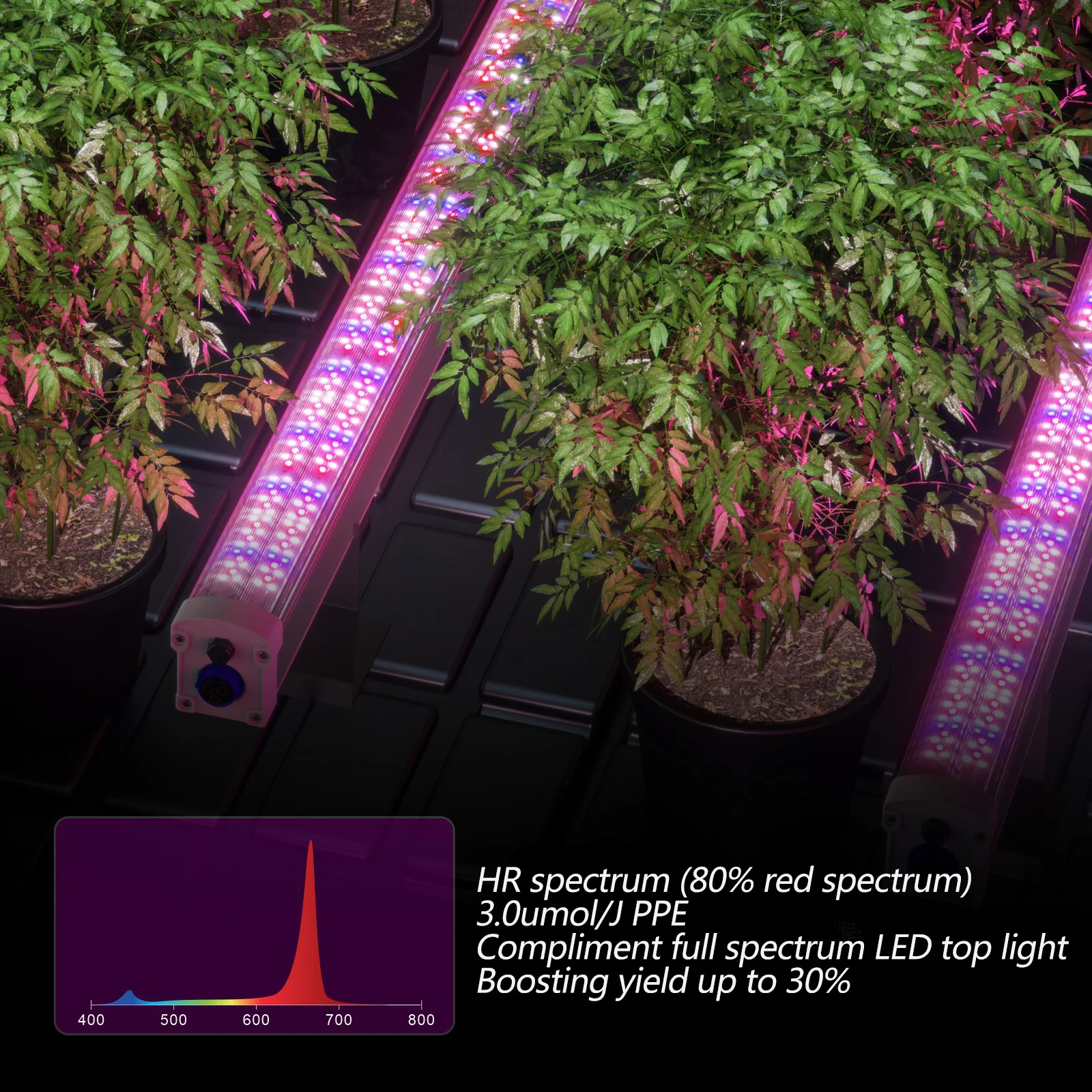 Hongyi Hot Sell 120 Watt Daisy-Chain Under Canopy LED Double Sided Grow Light