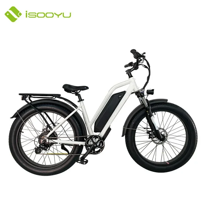 26 inch 48V  750W electric bicycle source factory mountain bike lithium tram