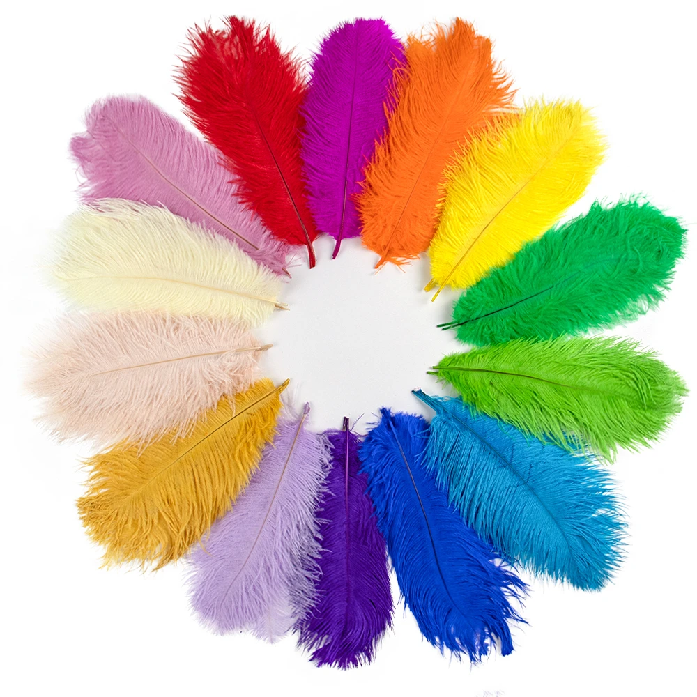 10pcs multicolor Ostrich Feathers Bulk for Handwork Crafts Decor Plumas Carnival Wedding Party Table Centrepiece Home Decoration