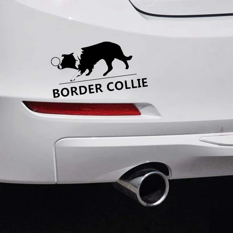 Various Sizes Die-cut Vinyl Decal Border Collie Car Sticker Waterproof Auto Decors on Car Body Bumper Rear Window