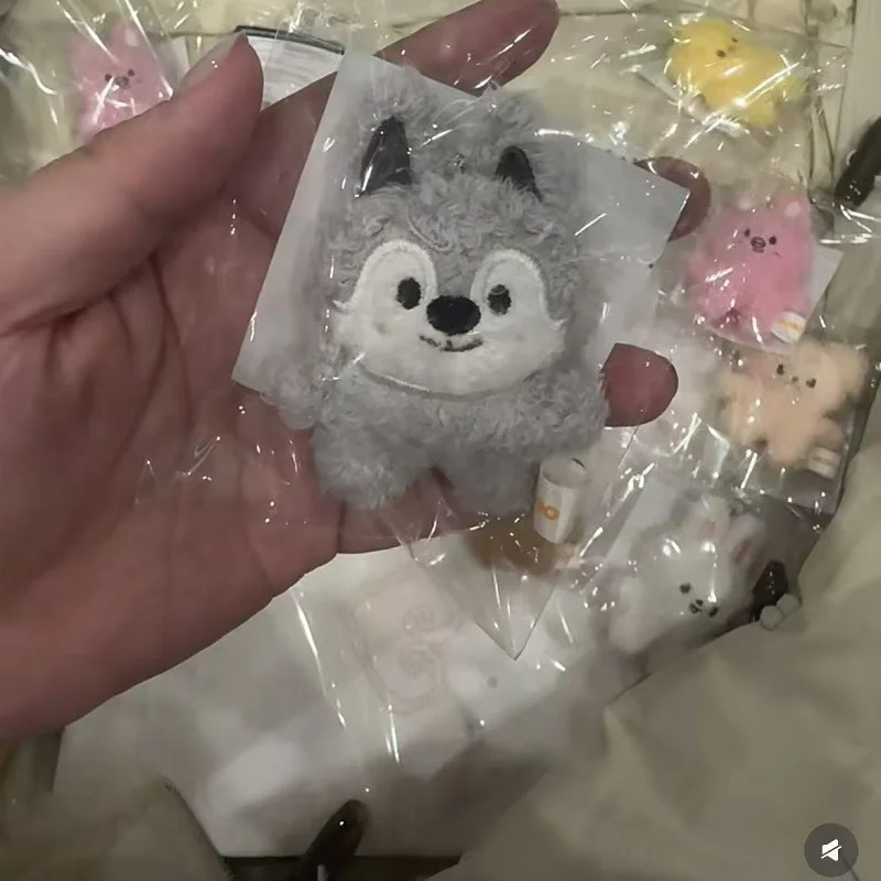 Skzoo Giocattoli creativi per bambole Peluche fortunato Cartone animato Stray Kids Peluche Portachiavi carino Regalo di compleanno commemorativo per bambini Kawaii