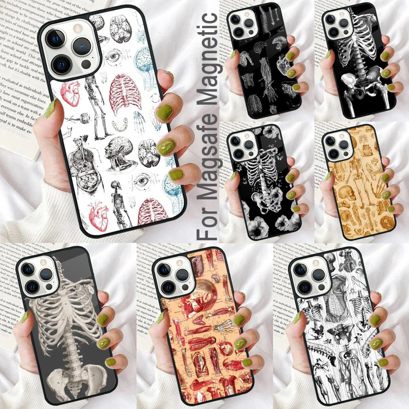 

Medical Skeleton Anatomy Magnetic Soft Phone Case for iPhone 16 Promax 15 Pro 13 14 Plus 11 12 Mini MagSafe Coque