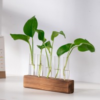 Wooden Stand Hydroponic Vase Transparent Minimalist Flower Vase Creativity Test Tube Shape Hydroponic Plants Container