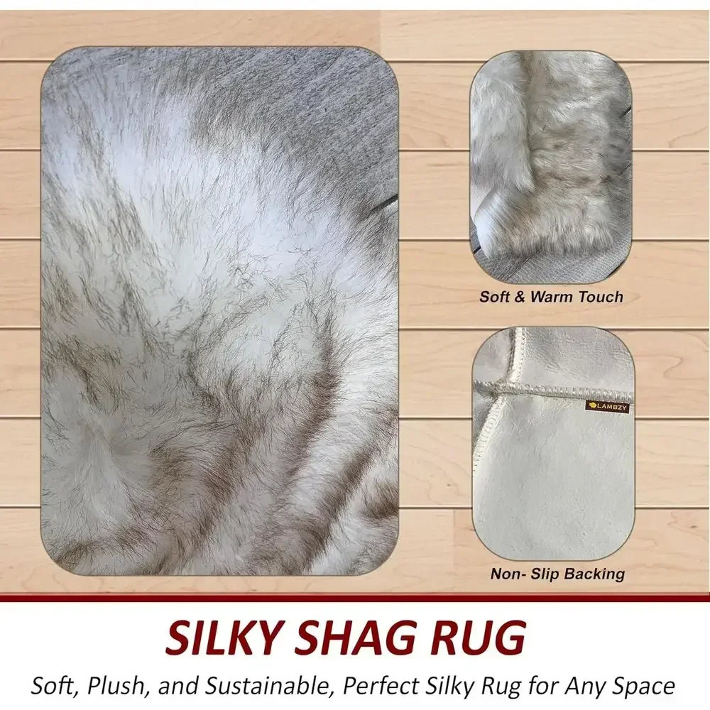 Hypoallergenic Silky Shag Rug, Plush Shaggy Carpet for Bedrooms and Living Rooms, 6x10 Feet, White with Brown Tips view 4