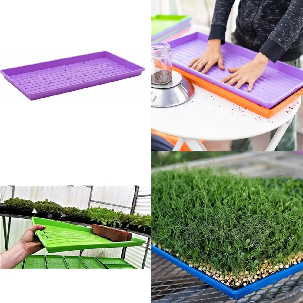 

Фиолетовые 10 лотков для мелкого семян сверхпрочности для выращивания микрозелени — пшеничная трава и многое другое