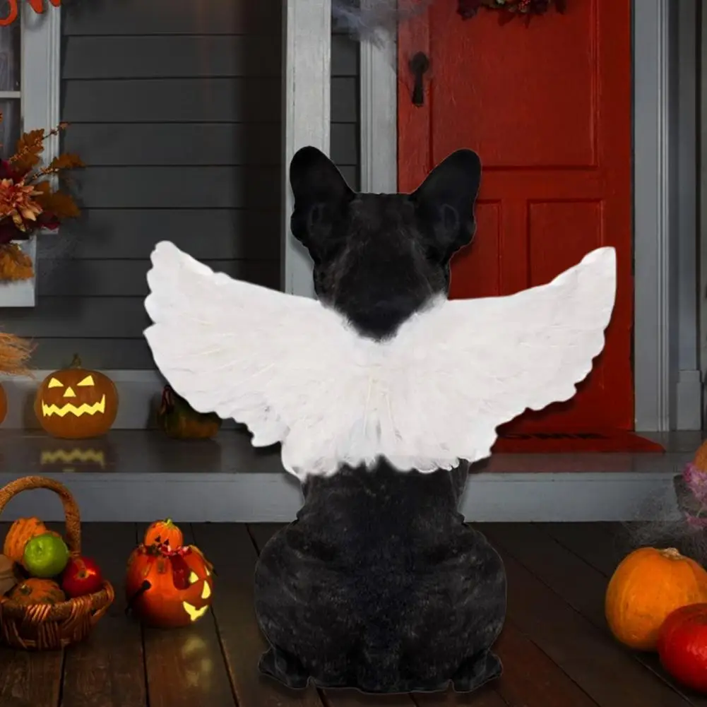 Dog Angel Wings 2 Colors Realistic Looking Long Lasting Pet Dog Cat Cosplay Angel Devil Wings Dog Feather Wings Dress Up