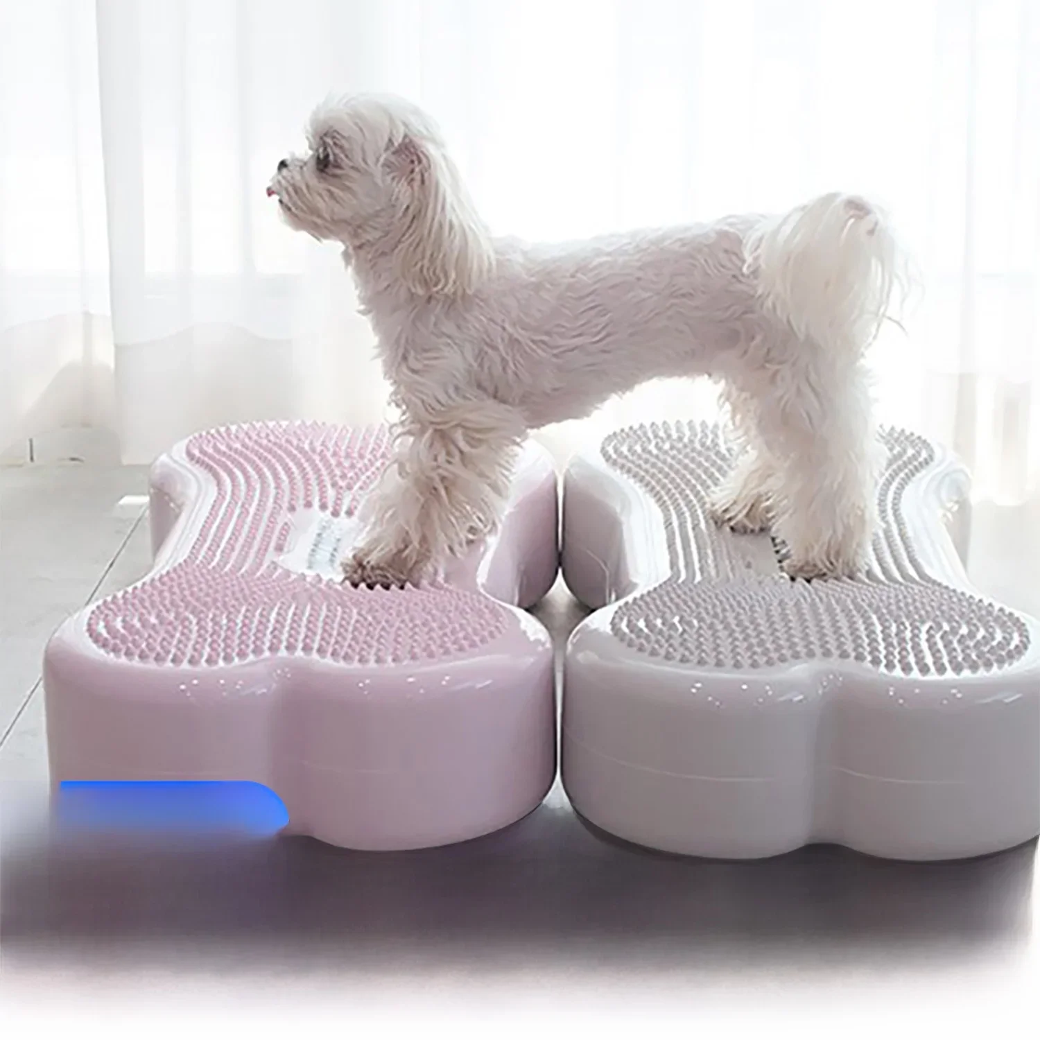 Dog Recovery Mat Fitness Balancing Training Patellar Post-Surgery Rehabilitation Bone Ball for Canines Pet Home Training Equi...