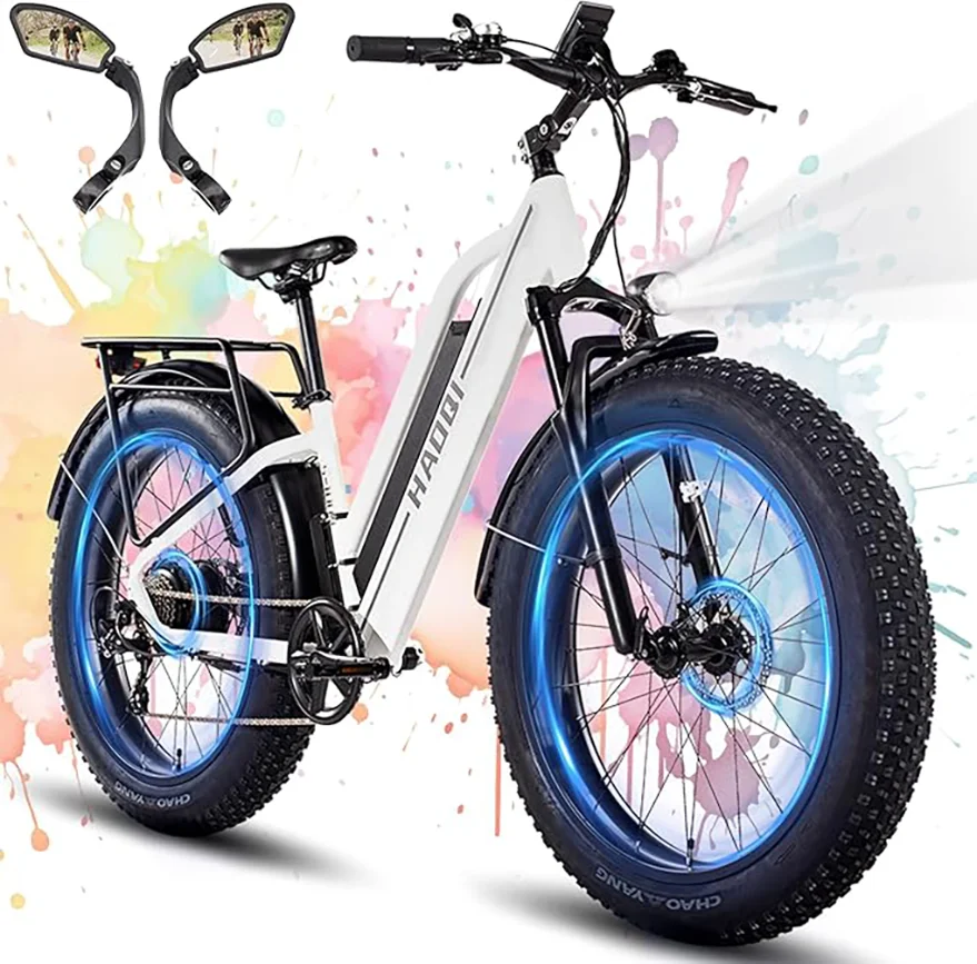 HAOQI Leopard Pro adult E-bike 750W 48V  commute Electric Bike,26-inch tire city ebike image 2