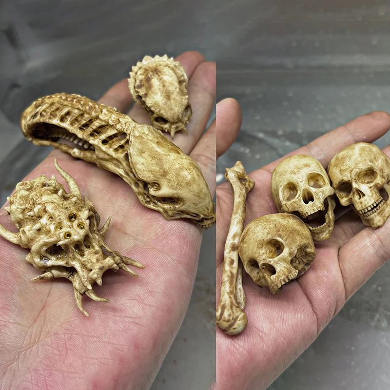 Em Estoque: Novo Modelo de Cabeça de Caveira com Ossos Escala 1/6 - Acessórios de Objetos Deformados Aline para Decoração de Halloween, Compatível com Bonecos de Ação de 12 Polegadas
