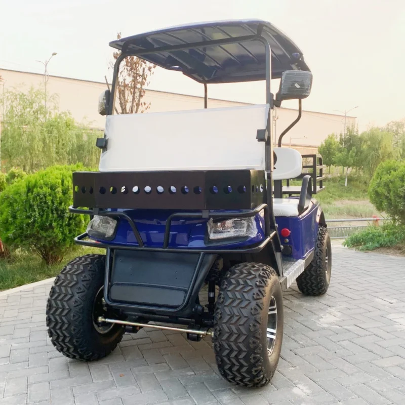 2-Seater Electric Golf Cart High-Performance Golf Buggy Custom Color Design 12 Inch Tires Bumper Front Basket Rear Cargo Box