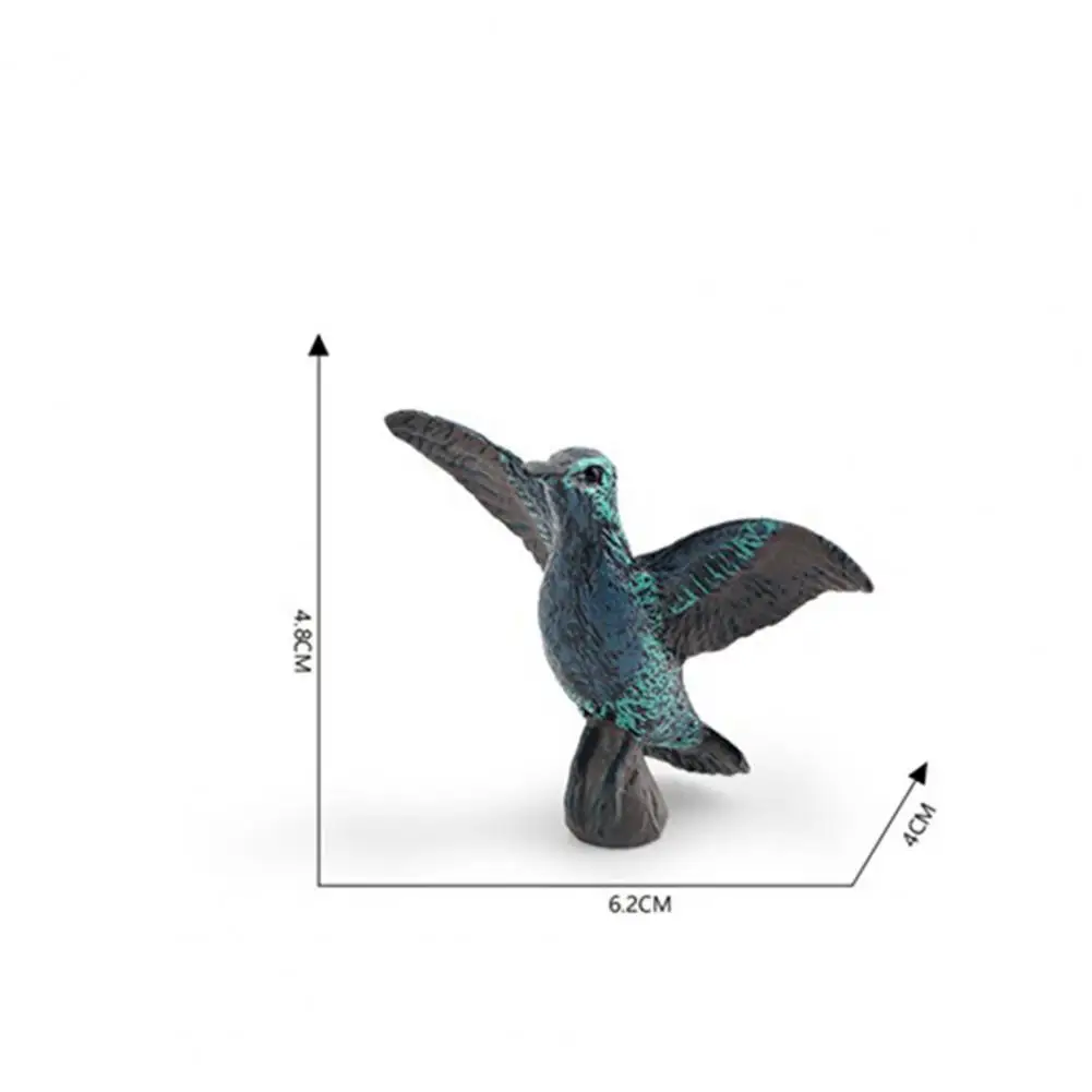 Bird Model Toy Roadrunner Model Toy Realistic Bird Figurine Set Miniature Roadrunner Hummingbird Models Educational for Kids