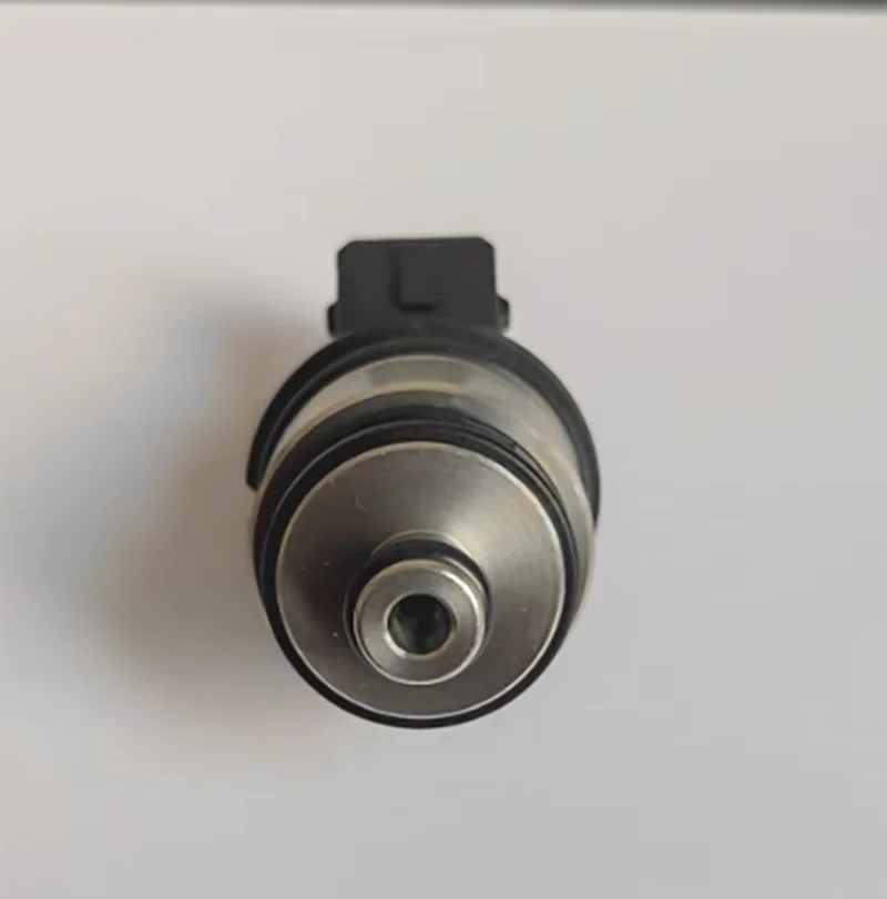 4Pcs Fuel Injector Nozzle For Landi Renzo Black Cod Med Stylo GI 25-65 Engine OE No.:10R-036317,10R-000058,237110000