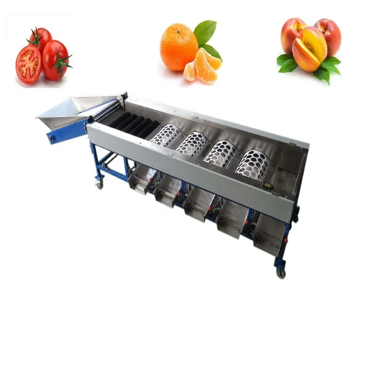 Vegetable/fruit sorting machine Stainless steel fruit selection/classifier/sorter/screening/grading machine for Cherry Pear Date