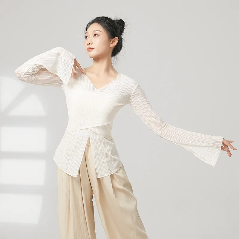 Abbigliamento da danza classica, pratica del corpo, abbigliamento per rima del corpo, elegante camicia a rete, top a maniche lunghe, da donna