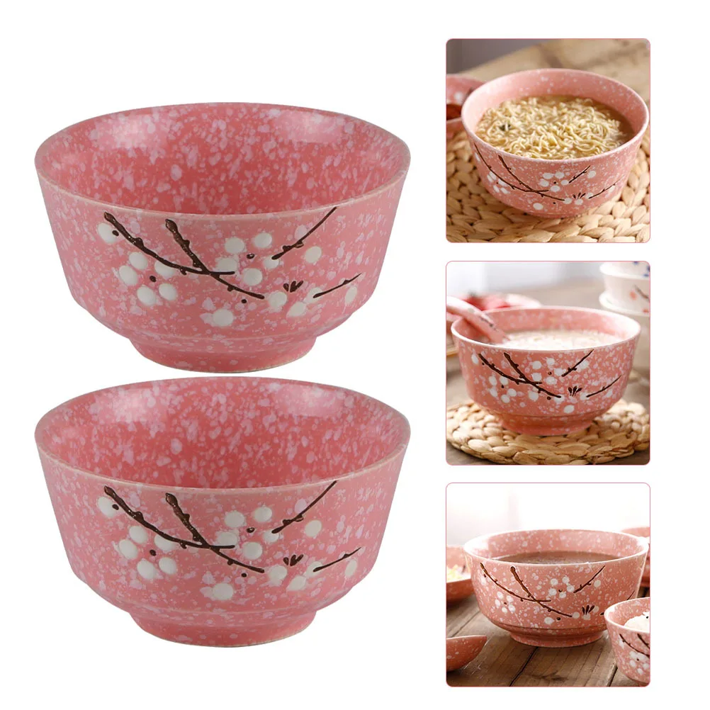 

2Pcs Ceramic Bowl Japanese Style Food Serving Bowls Salad Soup Fruit Tableware for Kitchen Ceramic Bowl