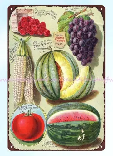 1894 Raspberries grapes corn tomatoes melons Iowa Seed Co metal tin sign