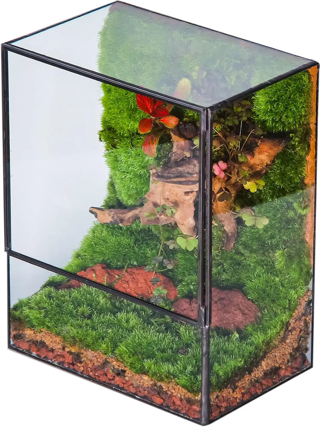 

Geometric Glass Terrarium with Door - 7.8x5.1x9.8 Inches, Clear Planter for Small Plants, Indoor Tabletop Garden Decor