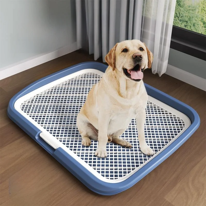 yZ[z^pgC tFX юUh~ tbgv[g p֊ ړI ybgpi poX[