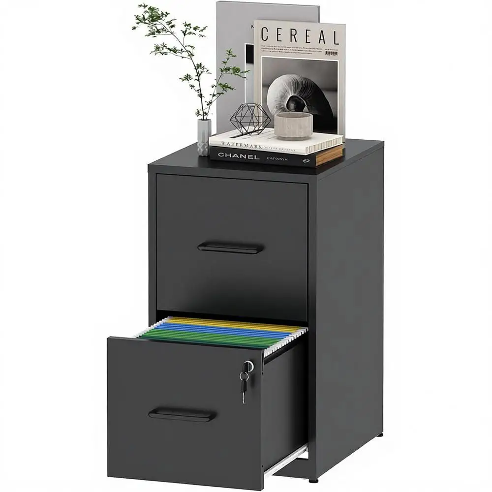 

Double-Sided Lockable Cabinet for A4/Legal/Letter Size, Requires Assembly, Black