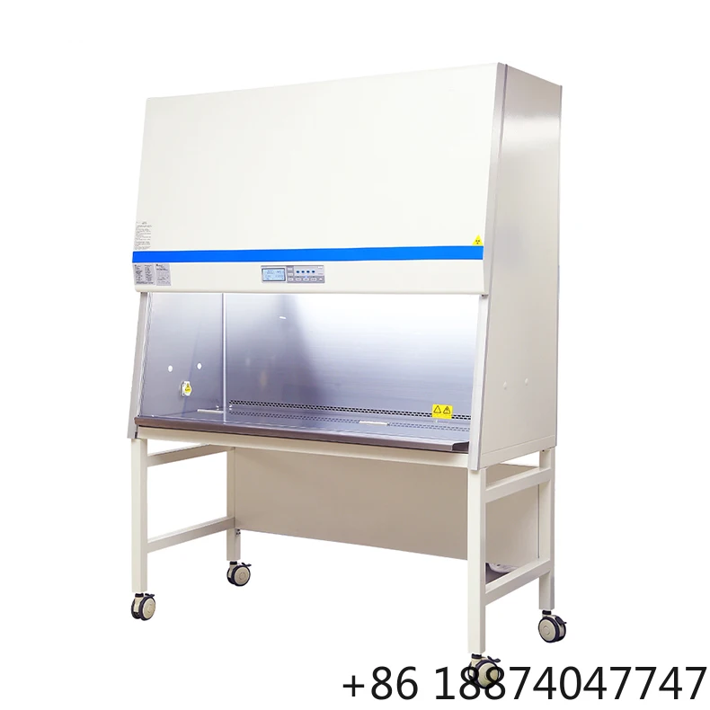 WEIAI B2 Chemistry Laboratory Biosafety Cabinet Class 2 PCR Cabinets High Quality Medical Class Ii Biological Safety Cabinet