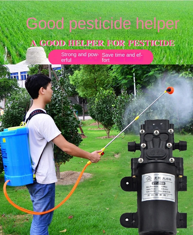 12V Agricultural Electric Sprayer Water Pump Intelligent Pump Car Washing Pump Small Motor Small Water Pump Diaphragm Pump