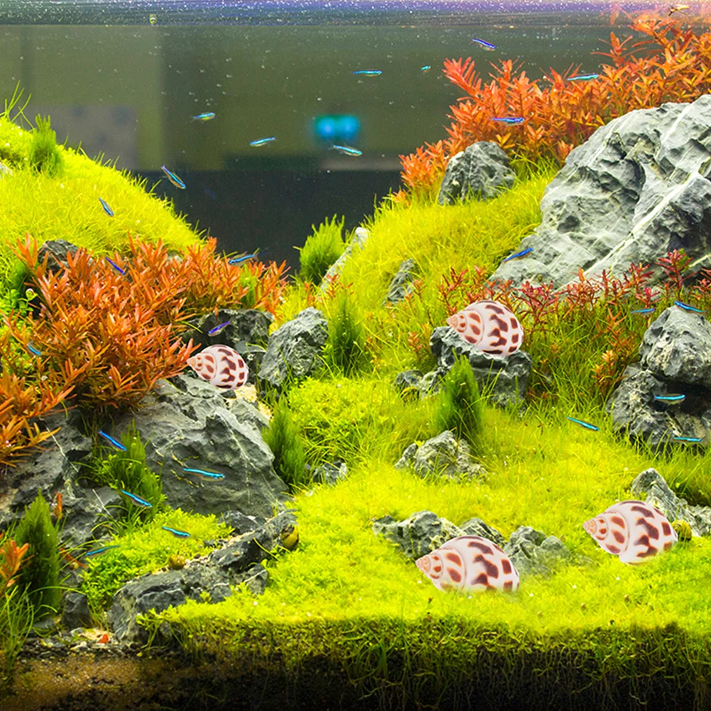 

160Pcs Natural Shells Delicate Conch Decoration DIY Craft Kit Fish Tank Seashell Ornament Home Accent Shells DIY Sea Conch