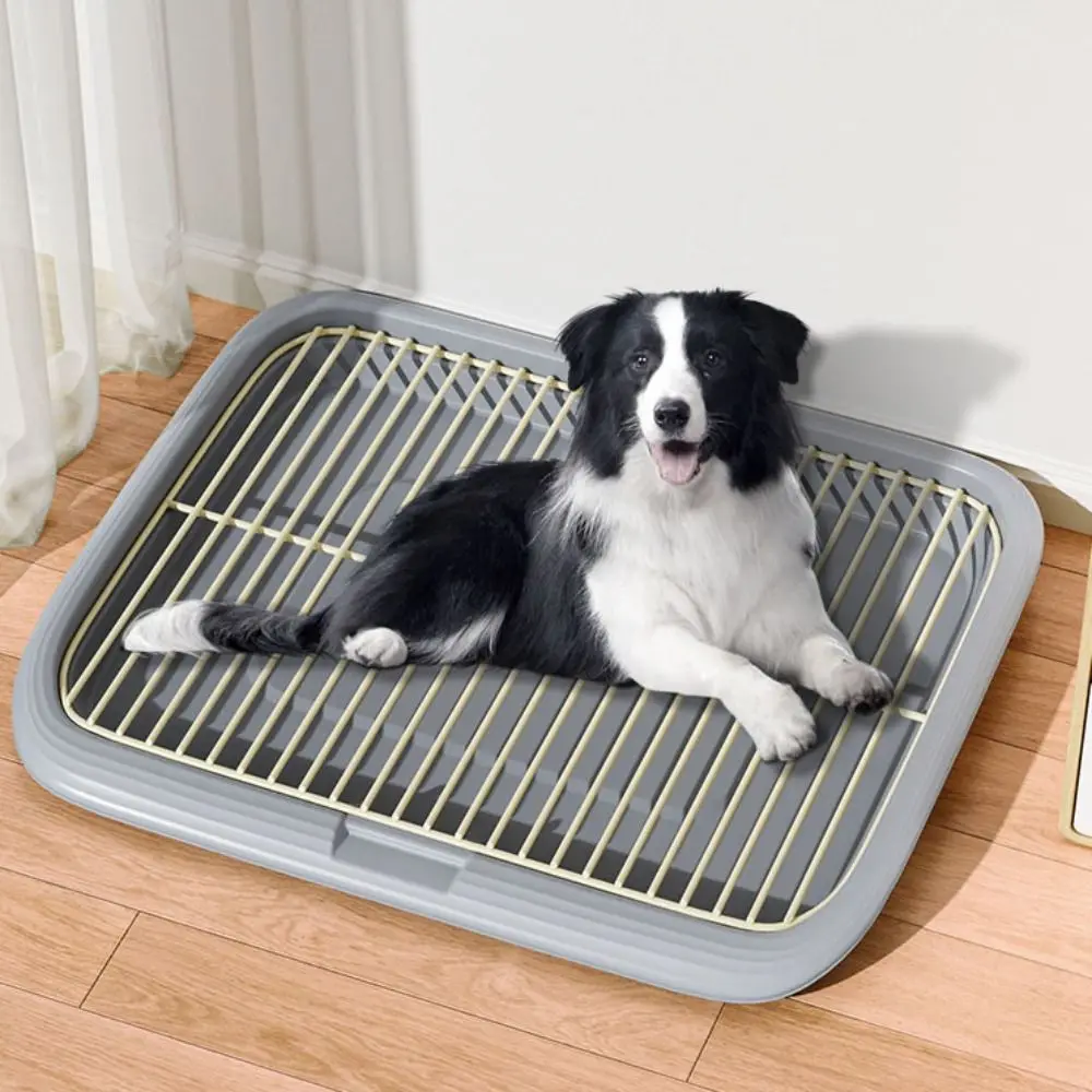 

Rectangle Dog Indoor Tray Toilet Anti Leakage Prevent Splashing Dog Potty Tray with Shovel Detachable Dogs Poop Collector
