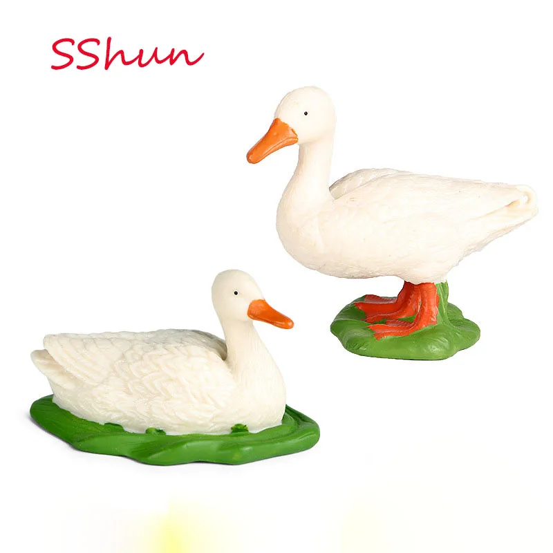 Simulation animal duck model solid static poultry duck mallard mallard children cognitive toys plastic ornaments