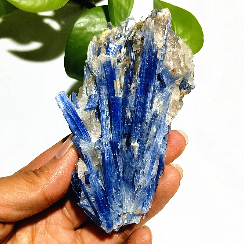 Natural Mineral Stone Kyanite Crystal Witchcraft Energy Heals Mine Standard Miner Specimen home decorated Healing Crystals