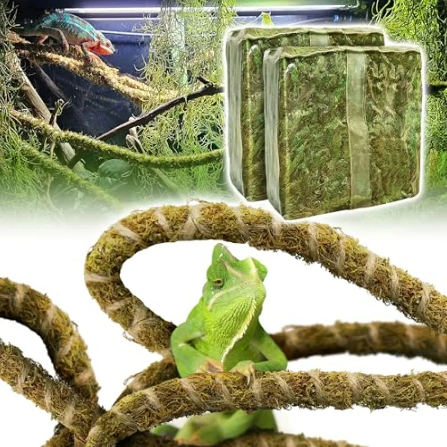 

Reptile Decor Set Including 10Feet Reptile Vine Climbing Bendable Branch and 04 OZ Natural Dried Forest Moss Bag Ideal for Bear