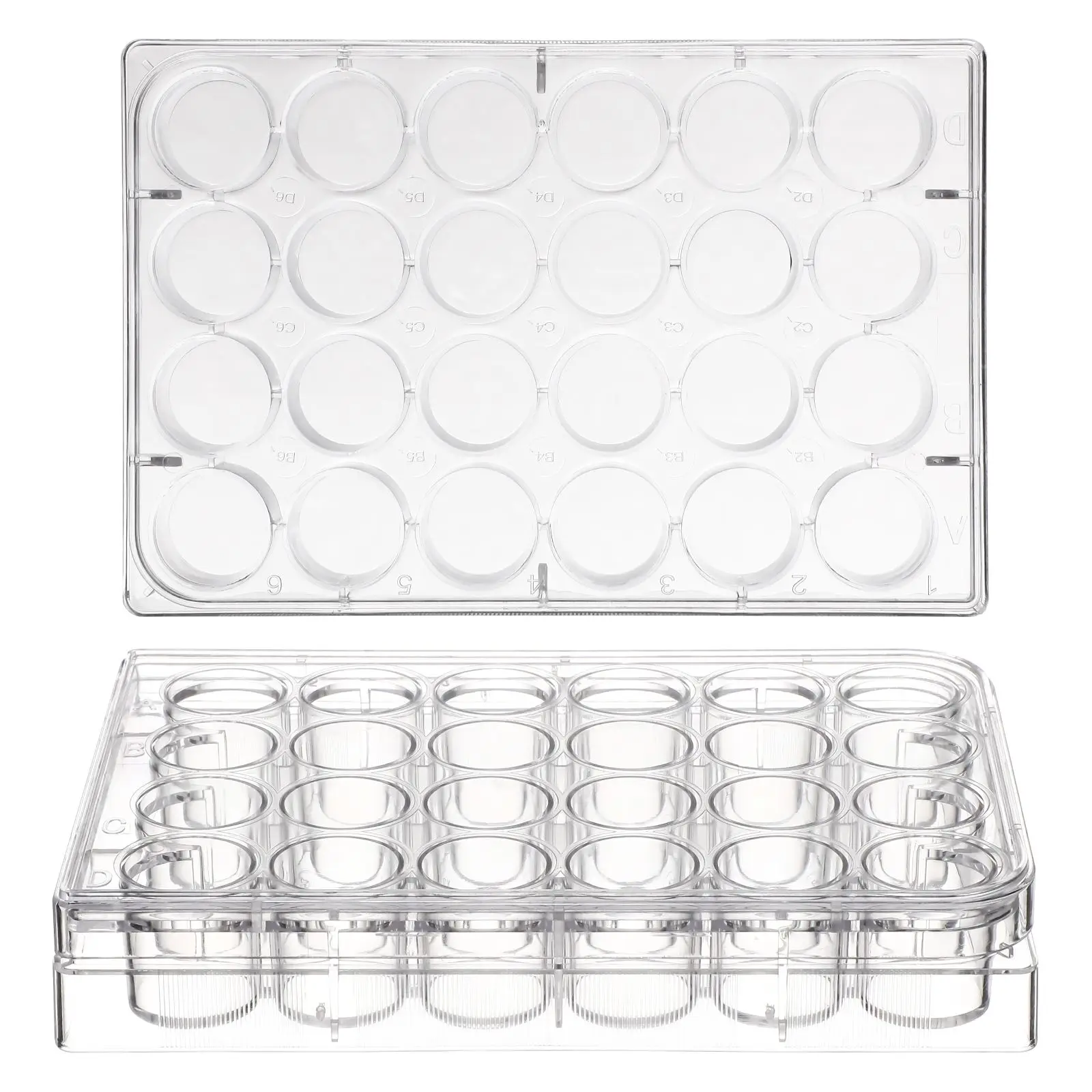 48 Well Cell Culture Plate Plastic Premium Culture Plate For Enzyme Excretion Shallow Orifice Plate With Eight Connected Tubes