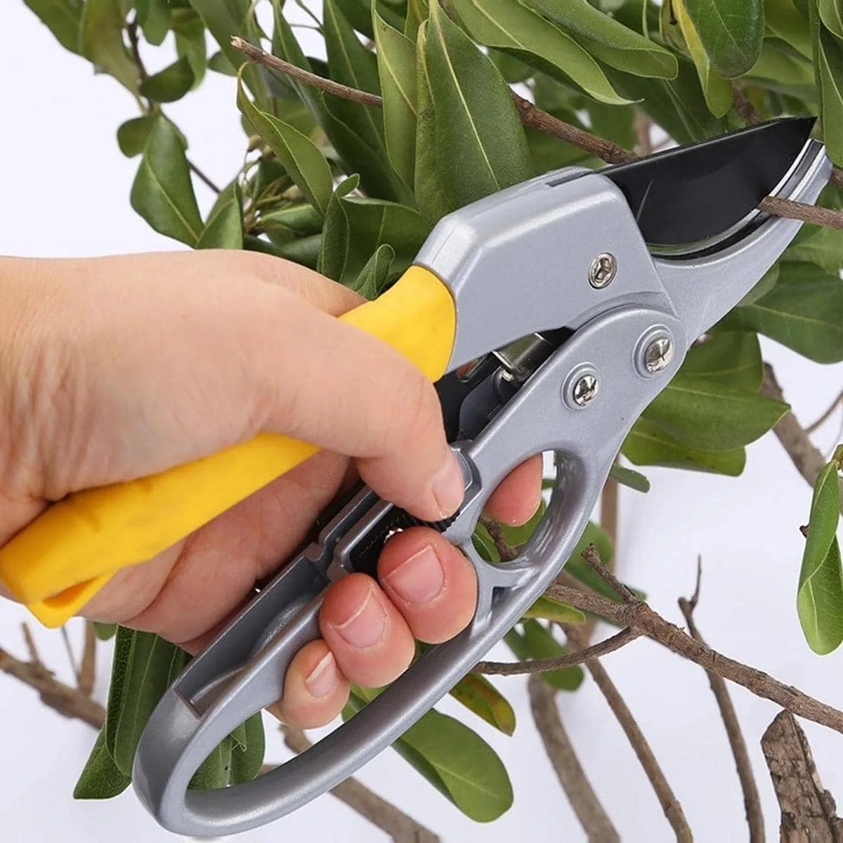 tesoura-de-poda-para-jardim-tesoura-de-jardinagem-segmentada