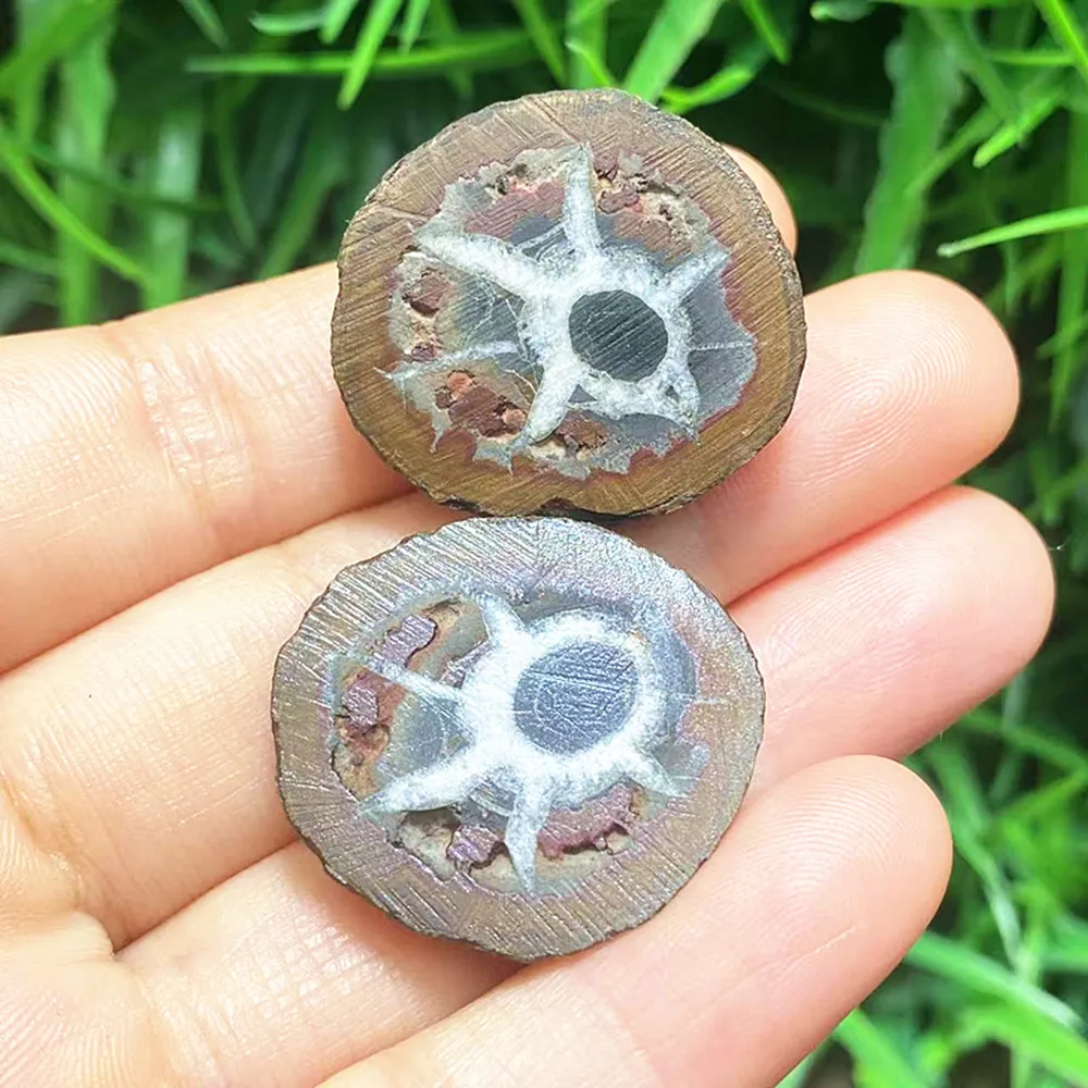S2 Natural Moroccan back stone decorated with spiritual chakra Reiki meditation witchcraft healing crystal sends holders