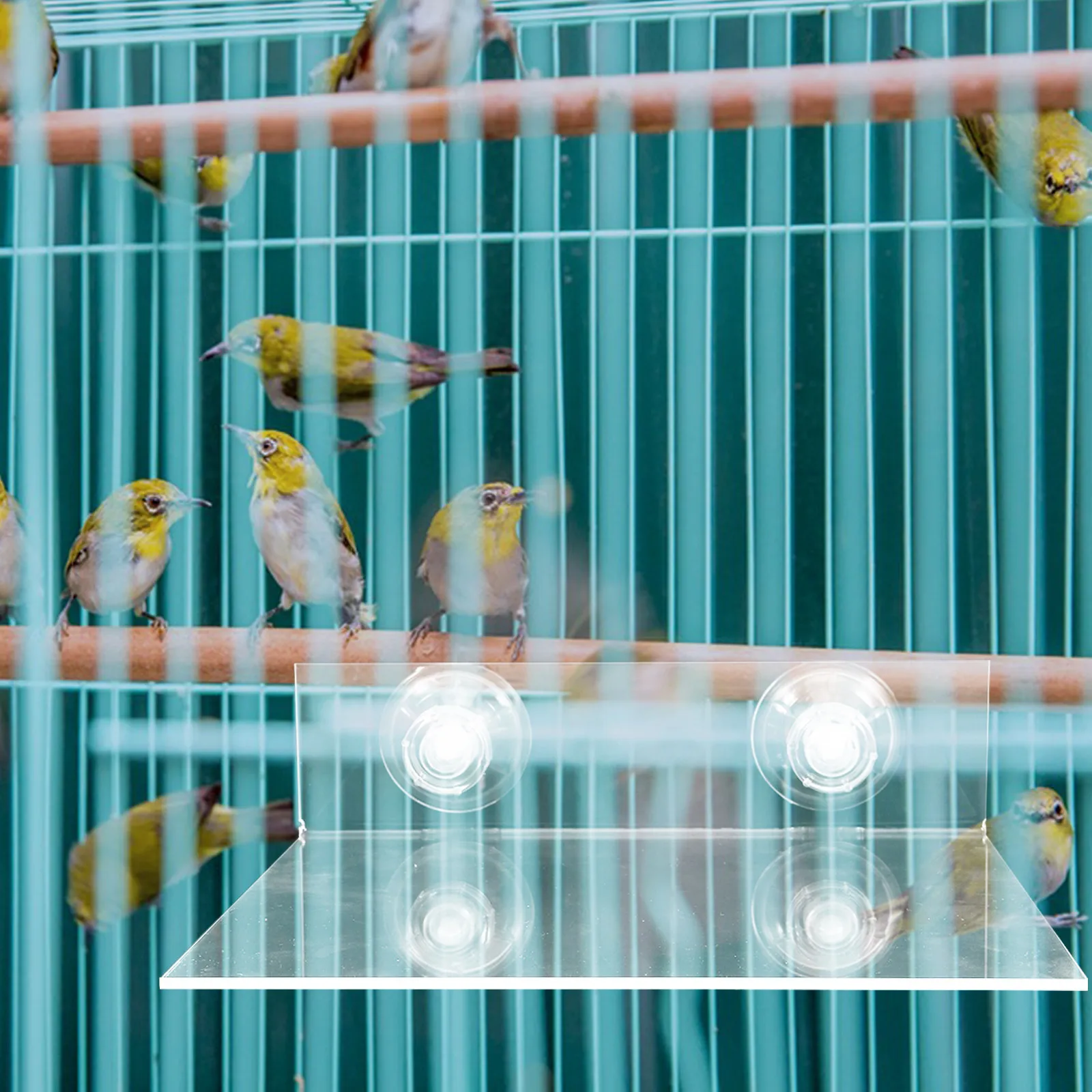 Bird Perch Stand Platform Suction Cup Stable Shower Window Rack for Parrot Cockatoo Macaw Parakeet Cage Accessories
