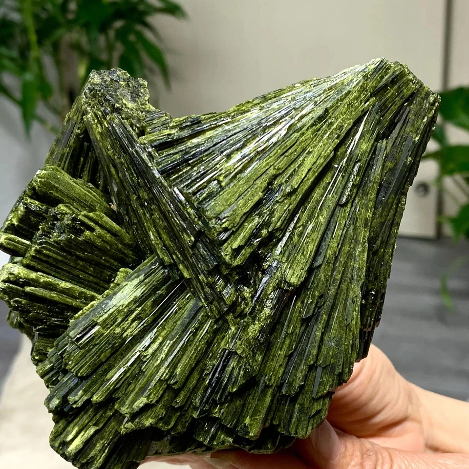 Natural Green Epidote Quartz Cluster Crystal Specimen Mineral Healing