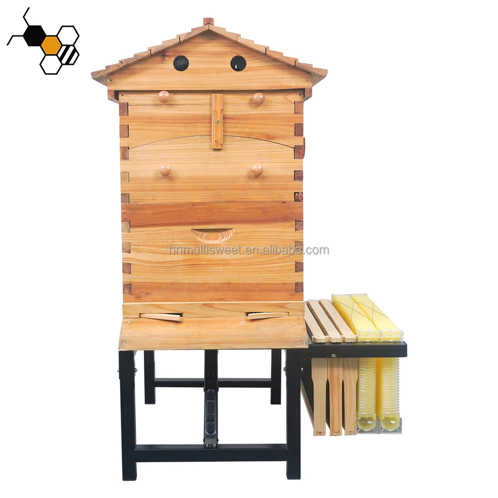 

Beekeeping Equipment Beehive Bottom Board Stand Adjustable Metal Bee Hive Stand for Flowing Hive