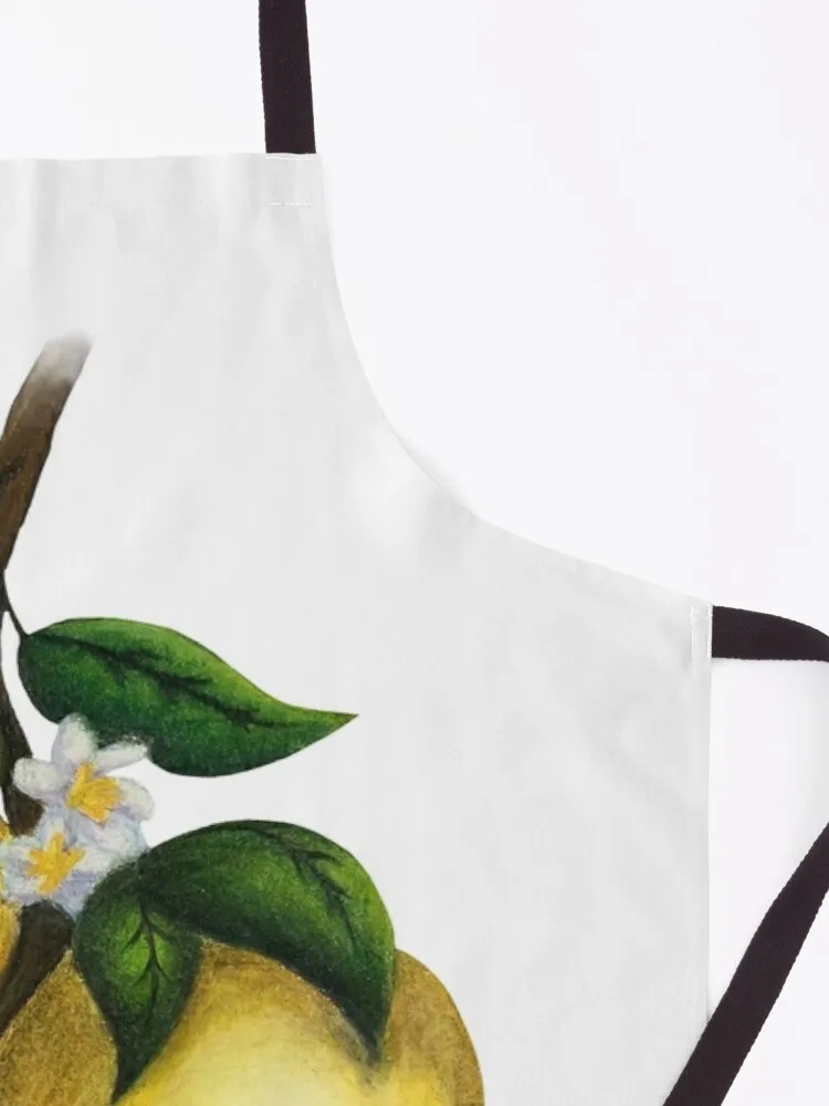 Italian Lemons Apron aprons for women